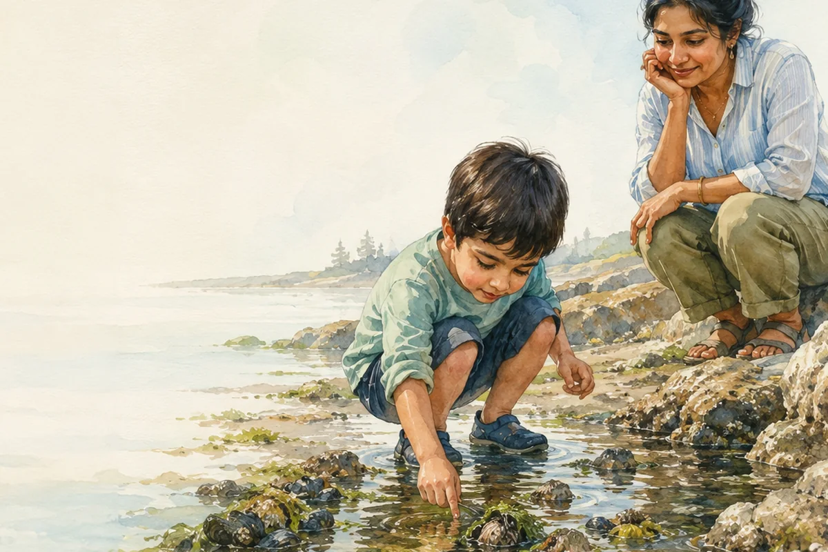 A child explores a tide pool while a caregiver watches with patient encouragement among rocks, shells, and shallow water.